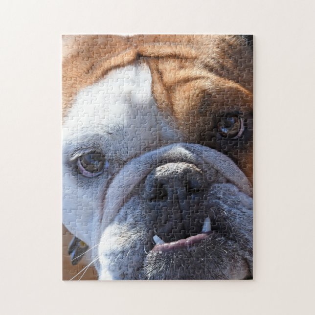 Adorable Bulldog (Vertikal)
