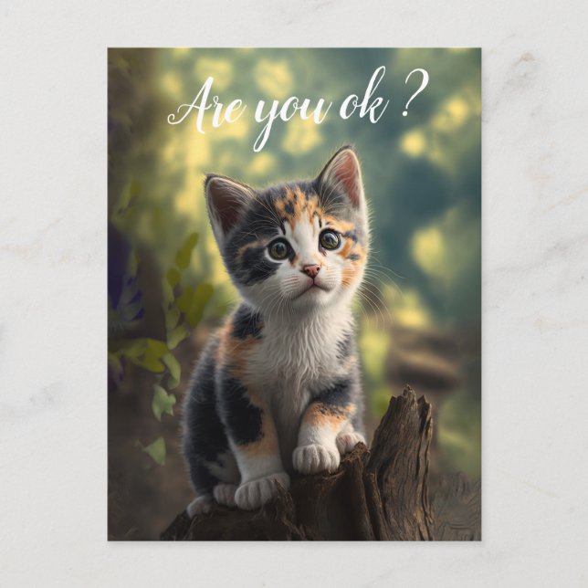Adorable Calico Kitten ist betroffen Postkarte (Vorderseite)
