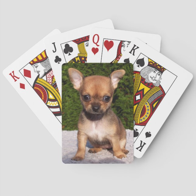 Adorable Chihuahua Puppy Dog Spielkarten (Rückseite)