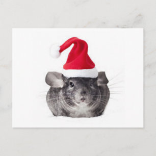 Adorable Chinchilla Père Noël Modèle