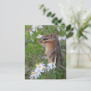 Adorable Chipmunk in Blume Postkarte