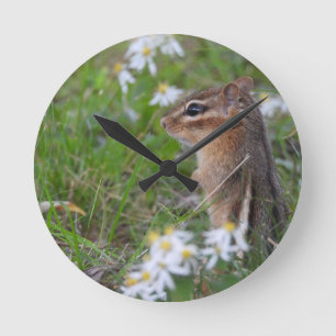 Adorable Chipmunk in flowers Runde Wanduhr