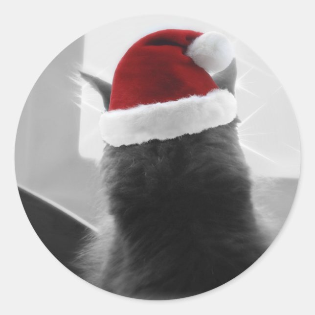Adorable Christmas Kitten Runder Aufkleber (Vorderseite)