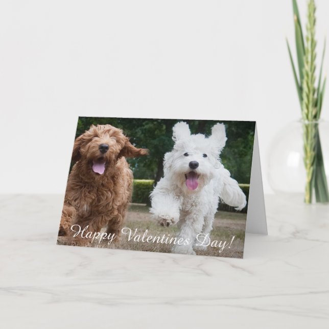 Adorable Cockapo Chipies | Carte de jour Valentine (Devant)