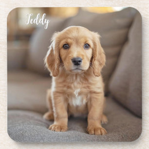 Adorable Cocker Spaniel Dessous de verre personnal