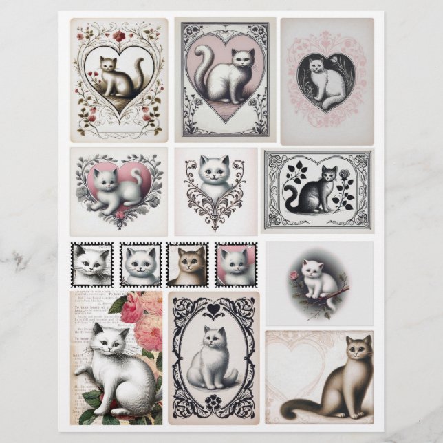Adorable Collection Katze Ephemera (Vorderseite)