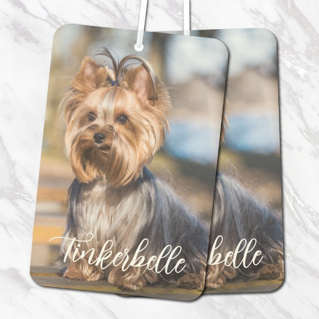 Adorable Custom Pet Photo with Script Name Autolufterfrischer (Von Creator hochgeladen)