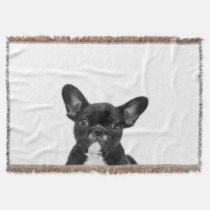 Adorable Dog   Black French Bulldog Face Decke