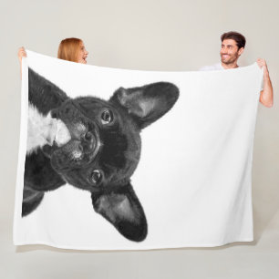 Adorable Dog   Black French Bulldog Face Fleecedecke
