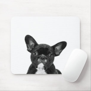 Adorable Dog Black French Bulldog Face Mousepad