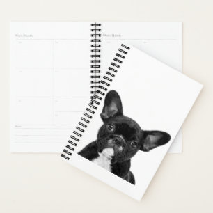 Adorable Dog Black French Bulldog Face Planer