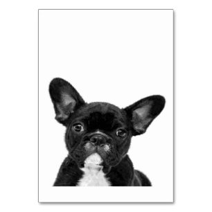 Adorable Dog Black French Bulldog Face Tischnummer