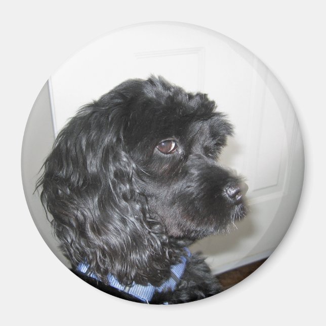 Adorable Dog Magnet (Vorne)