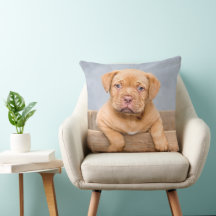 Adorable Dogue de Bordeaux Welpe, Throw Kissen