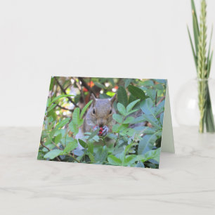Adorable Eichhörnchen Berries Grußkarte Feiertagskarte