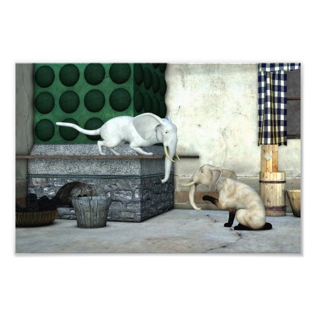 Adorable Elefantenkatzen Fotodruck (Vorne)