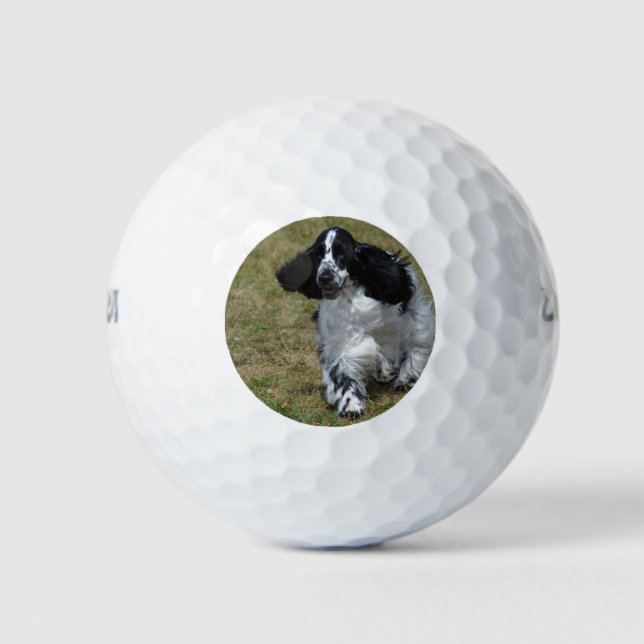 Adorable English Cocker Spanisch Golfball (Vorderseite)