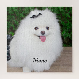Adorable Fluffy White Puppy Dog