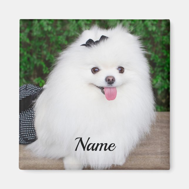 Adorable Fluffy White Puppy Dog Magnet (Vorne)