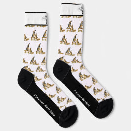 Adorable Gambel's Quail Bird Socks Socken