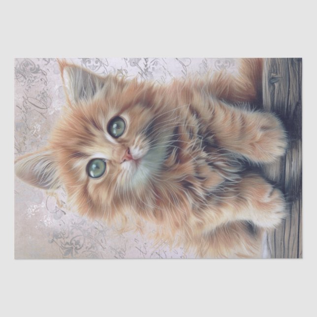 Adorable Ginger Fluffy Kitten Seidenpapier (Vorderseite)