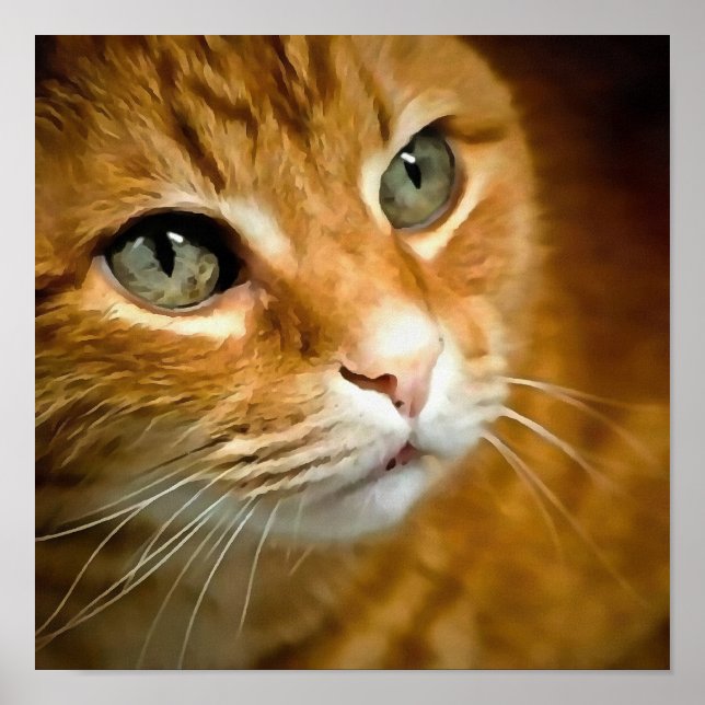 Adorable Ginger Tabby Cat Posing Pet Portrait Poster (Vorne)