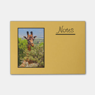 Adorable Giraffe, die seinen Kopf über den Bäumen  Post-it Klebezettel