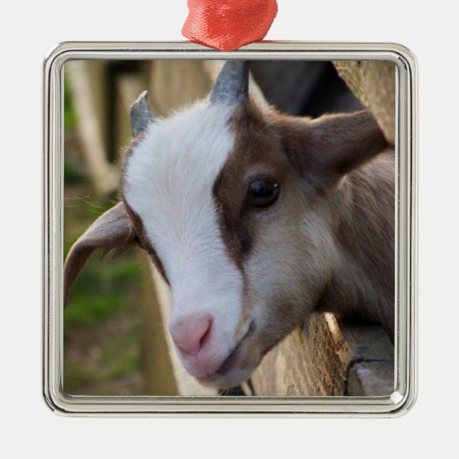 *ADORABLE GOAT FOR CHRISTMAS* ORNAMENT AUS METALL (Vorne)