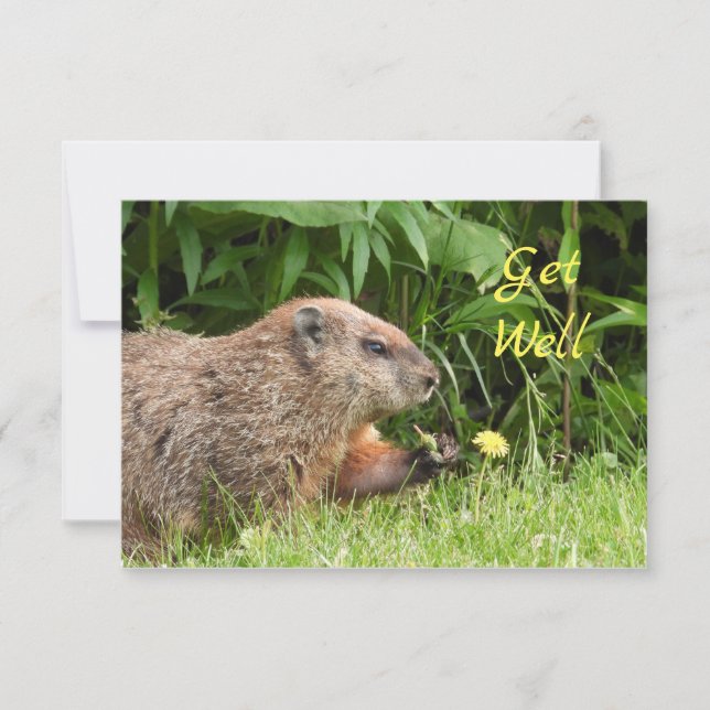 Adorable Groundhog Pflücken Blume WERDEN GUT (Vorderseite)