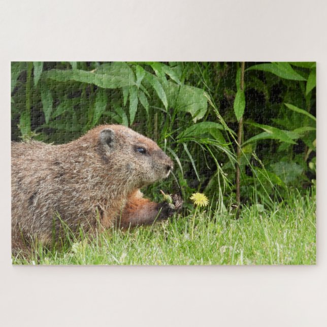 Adorable Groundhog Picking Blume Jigsaw Puzzle (Horizontal)
