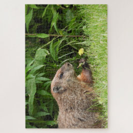 Adorable Groundhog Picking Blume Jigsaw Puzzle