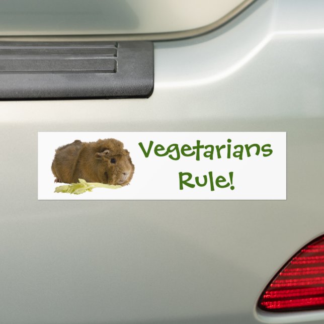 Adorable Guinea Pig Eating Celery Fotografie Autoaufkleber (Auf Auto)