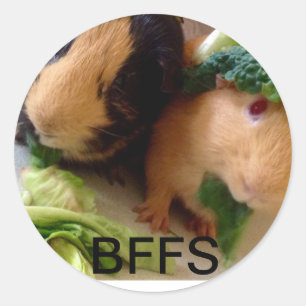 Adorable Guinea Schweine BESTE FREUNDIN Aufkleber