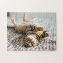 Adorable Haustiere 11 Zoll x 14 Zoll