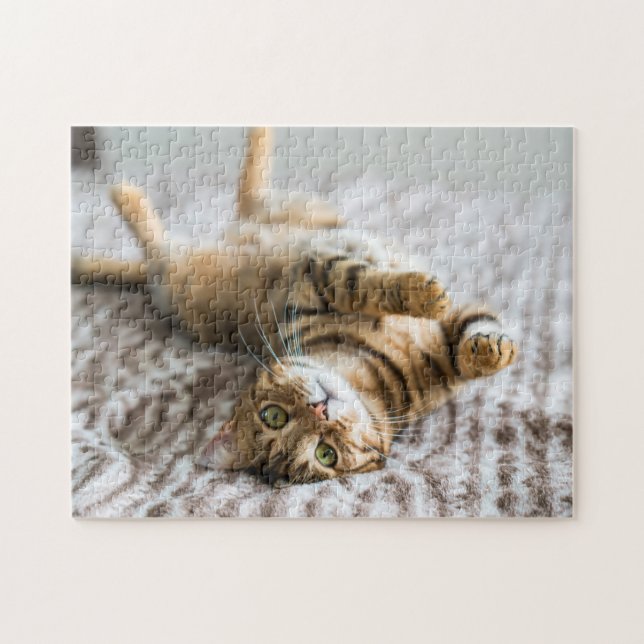 Adorable Haustiere 11 Zoll x 14 Zoll (Horizontal)
