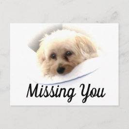 Adorable Hund Vermisst Sie Postkarte