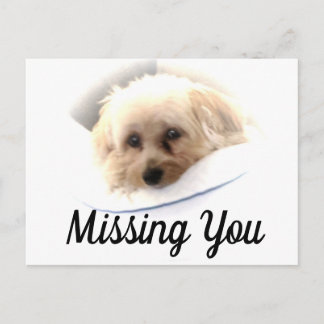 Adorable Hund Vermisst Sie Postkarte