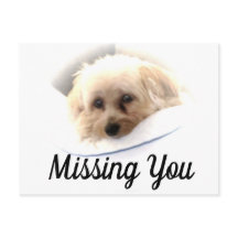 Adorable Hund Vermisst Sie Postkarte