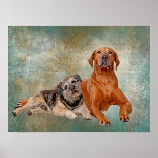 Adorable Hunde auf Decopage Art Poster (Vorne)