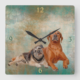 Adorable Hunde auf Entdeckungsreise Quadratische Wanduhr