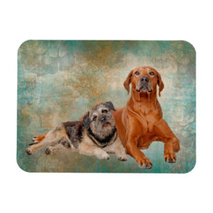Adorable Hunde über Kunst Magnet