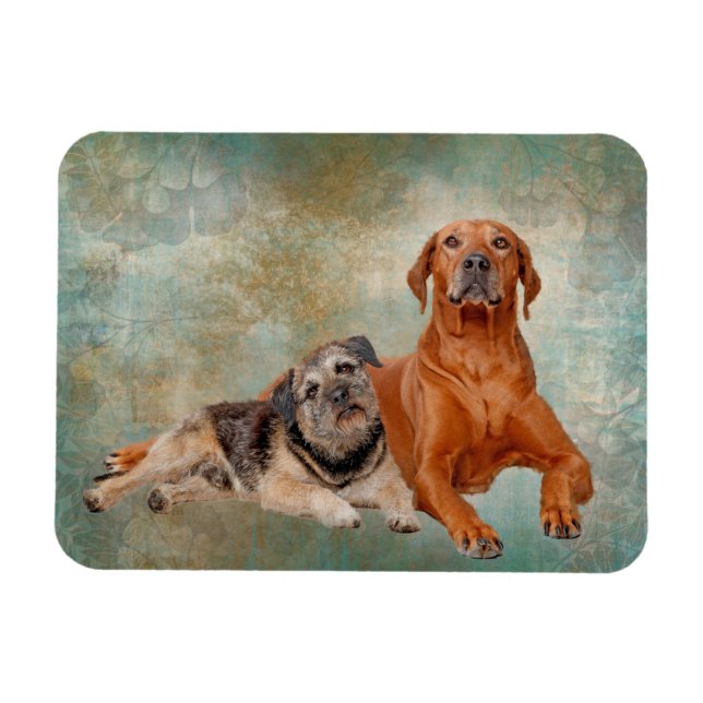 Adorable Hunde über Kunst Magnet (Horizontal)