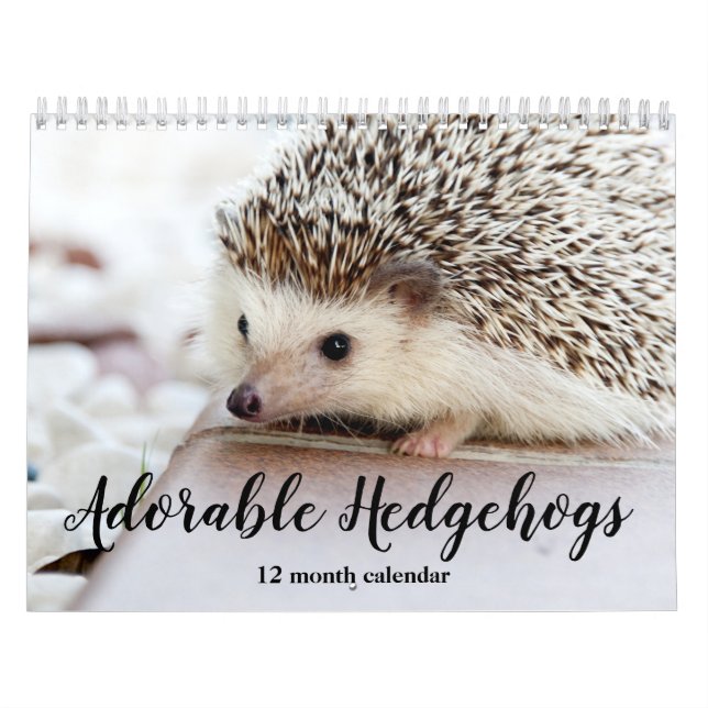 Adorable Igel 2026 Kalender (Titelbild)