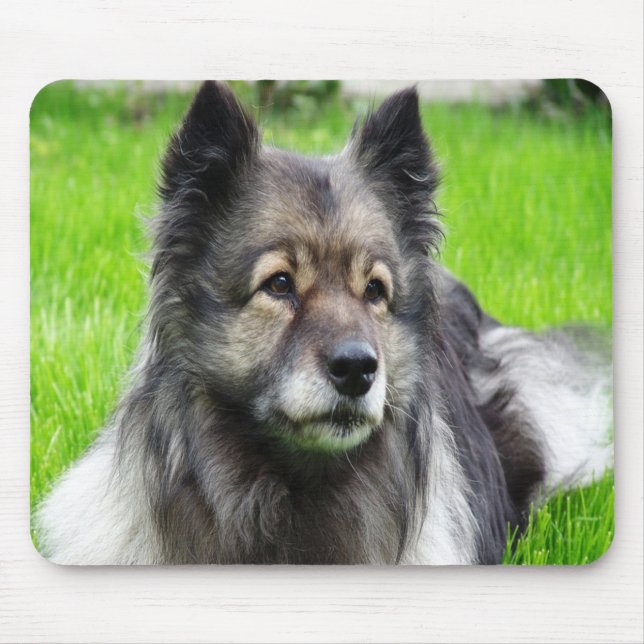 Adorable Keeshond Mousepad (Vorne)