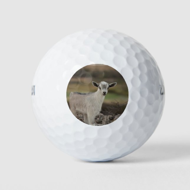 Adorable Kid Goat Golfball (Vorderseite)