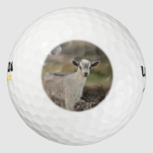 Adorable Kid Goat Golfball