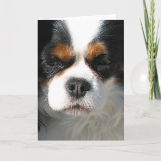 Adorable King Charles Spaniel Grußkarten Karte (Vorderseite)