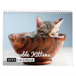Adorable Kittens 2022 Foto Wall Calendar Kalender