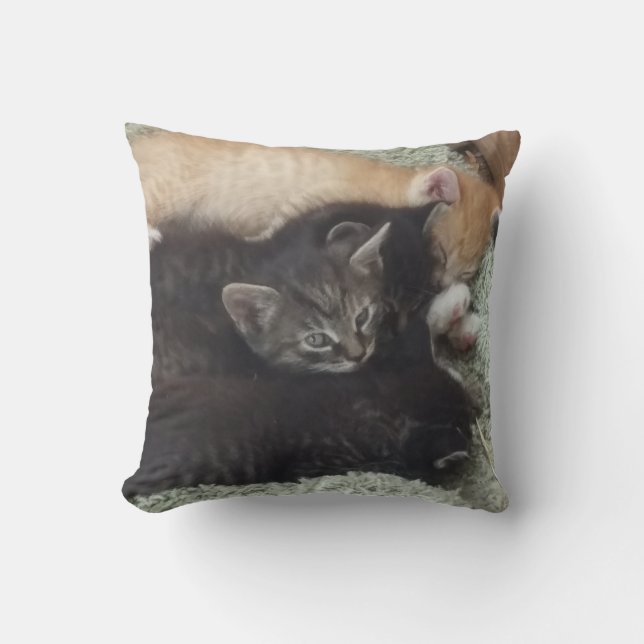 Adorable Kittens Coussin (Recto)