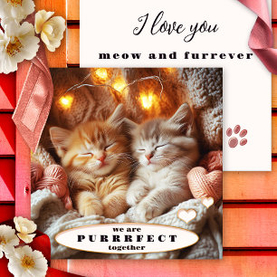 Adorable Kittens Happy Valentines Day Card Feiertagskarte